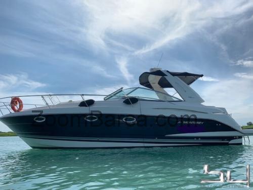 Monterey 355SY scheda tecnica e recensioni